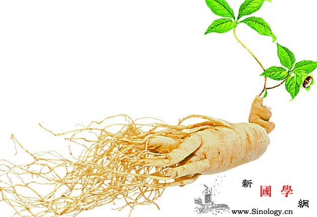 产后常用滋补食材大揭秘_黄鳝-营养素-滋补-产后-