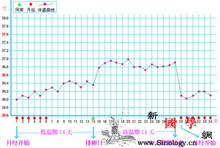 排卵期体温曲线图_排卵期-曲线图-低温-测量-怀孕准备