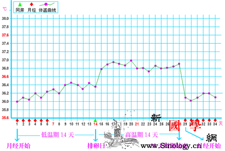 基础体温曲线图_曲线图-排卵-流产-低温-怀孕准备
