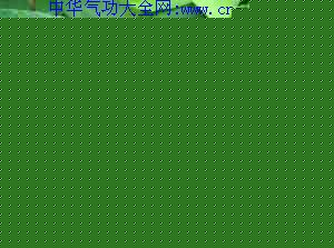 黑大豆叶_叶面积-音名-柔毛-卵形-
