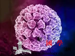 阴道你听我说:“别爽了自己却连累了别人!_宫颈-病变-阴道-子宫-孕前检查