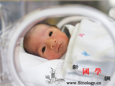 早产儿体重标准是多少?_足月-早产儿-早产-世界卫生组织-