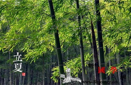 立夏生的孩子好吗_立夏-生肖-出生-孩子-