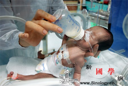 早产儿喝什么奶粉好_足月-早产儿-早产-奶粉-