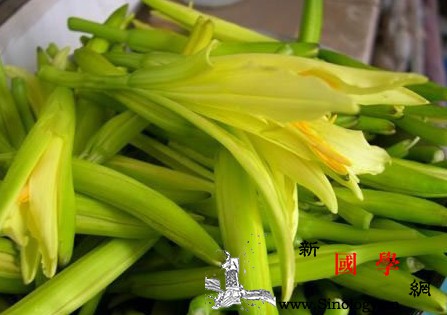 产后新妈妈吃哪些蔬菜最好_铁质-补血-产后-维生素-