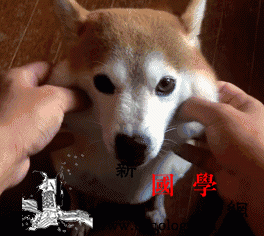 这样陪宝宝玩益智又健康许多爸妈都做错了_爸妈-玩具-宝宝-咯吱-