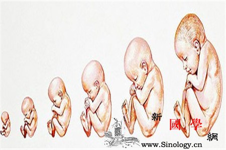 胎儿窘迫胎动次数是多少_胎动-羊水-窘迫-缺氧-