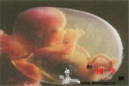 胎儿窘迫诊断标准_胎动-羊水-脐带-窘迫-