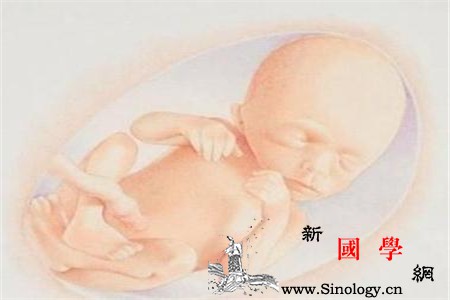 胎儿缺氧胎心会有什么反应_减慢-窘迫-缺氧-胎儿-