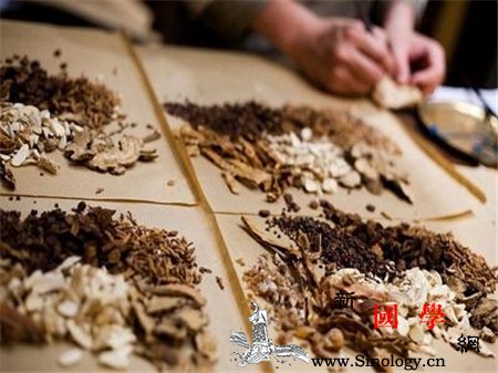 治疗艾滋病的中药配方_黄柏-服用-艾滋病-用法-两性知识