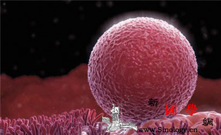 小腹坠痛腰酸怎么回事_排卵期-原发性-盆腔-痛经-怀孕准备