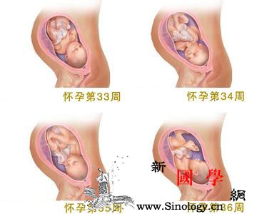 胎儿入盆后多久会生_经产妇-初产妇-临产-骨盆-