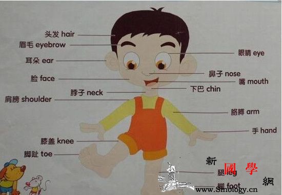 帮助宝宝认识身体的小游戏_照相机-眼睛-身体-几个-