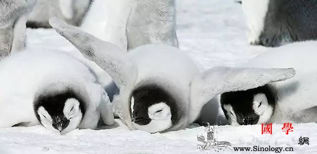 不要再相信预产期啦！宝宝什么时候出来它们说_羊水-预产期-会在-宝宝-