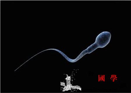 精液粘稠是怎么回事_气虚-精液-前列腺炎-精子-孕前检查