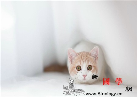 破解“一哭就给”的安全感迷思_哭闹-迷思-父母-妈妈-
