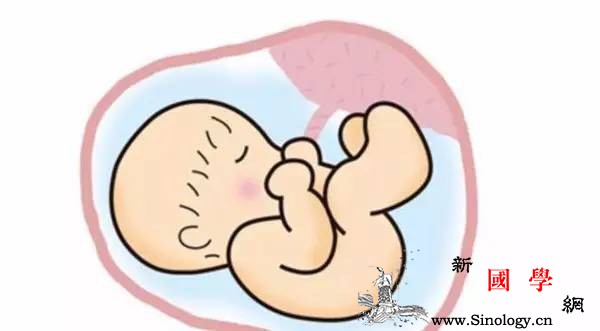 高龄试管想一次成功？这六点必看_试管婴儿-卵子-试管-卵巢-不孕不育