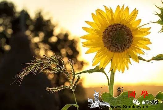 这些行为会“杀精”备孕男士要避免哦！_微量元素-精子-炎症-影响到-怀孕准备