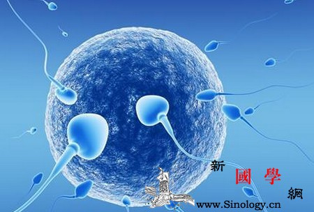 试管精子质量不过关怎么办第一名祸害竟是它_睾丸-精子-食物-男性-孕前检查