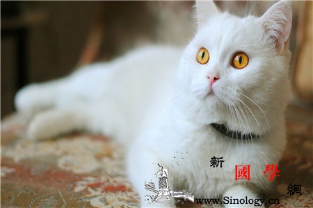 产后哺乳前和哺乳后的乳房保健_乳汁-母乳-乳头-哺乳-