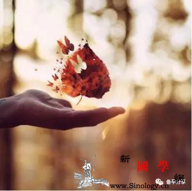 久备不孕是怎么回事可能的原因有6项_输卵管-受孕-精子-异常-孕前检查