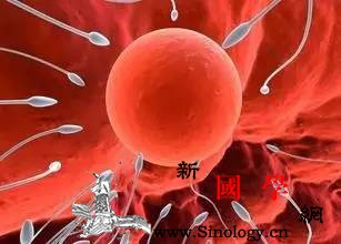 试管促排卵：你知道哪些方面会影响促排卵的效果_卵泡-试管婴儿-卵子-药物-不孕不育