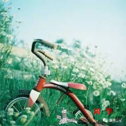 月经不调难好孕出现异常可能是因为……_月经不调-卵巢-月经-出血-怀孕准备