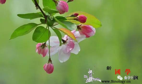 二胎备孕哪些检查有必要做一下呢？_输卵管-卵巢-精子-炎症-孕前检查