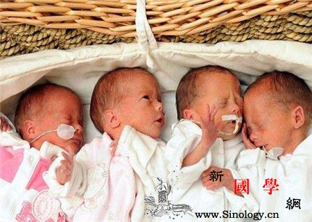 同卵双胞胎概率是多少_受精卵-卵子-排卵-染色体-遗传优生