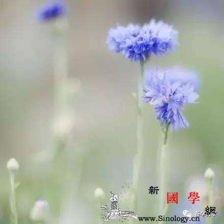 卵巢囊肿的高发人群有……预防措施要到位！_囊肿-卵巢-诱发-手术-怀孕准备