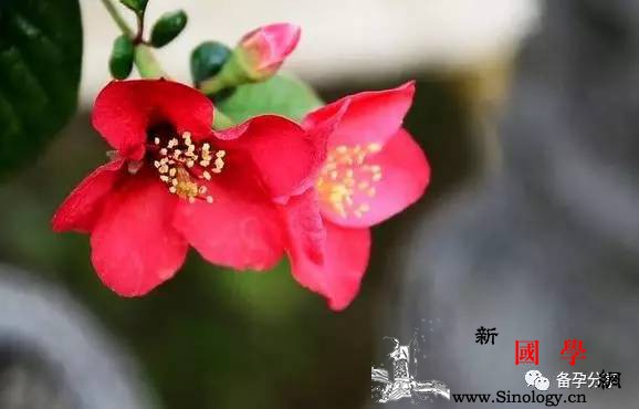 半年备孕没怀孕就算是不孕了吗？_排卵期-同房-怀孕-孕前-怀孕准备