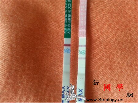 排卵试纸怎么用_试笔-排卵-试纸-尿液-