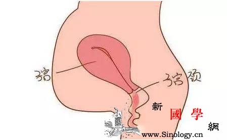 怎样才知道自己要生了？揭密孕妇分娩前征兆？_栓子-分娩-征兆-子宫-