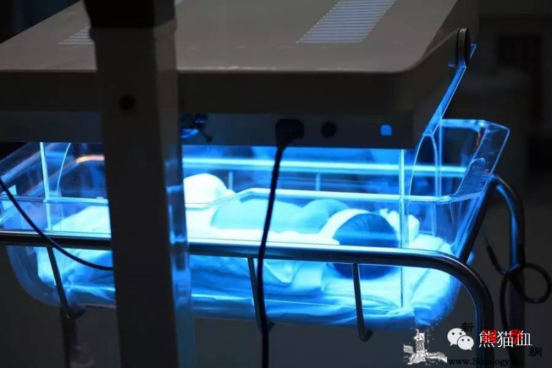 刚出生的宝宝黄疸了要紧吗？_胆红素-早产儿-黄疸-儿科医生-