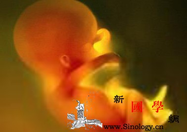 孕妇不能做什么_死胎-早产-胎儿-畸形-