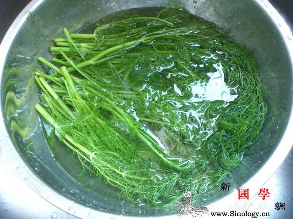 茴香薄饼_面糊-香粉-薄饼-平底锅-