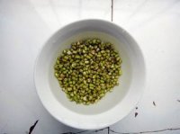 粽子绿豆粥_外皮-煮沸-冰糖-粽子-