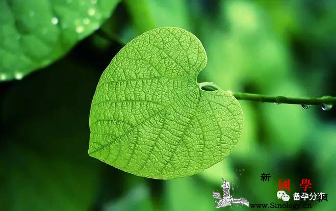 卵巢早衰不好受孕怎么调理卵巢功能呢？_卵巢-早衰-调理-衰老-怀孕准备