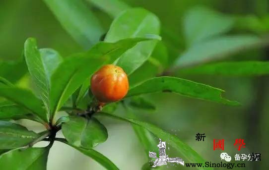这些都是排卵期反应备孕的亲要学会看哦！_排卵期-排卵-分泌物-出血-怀孕准备