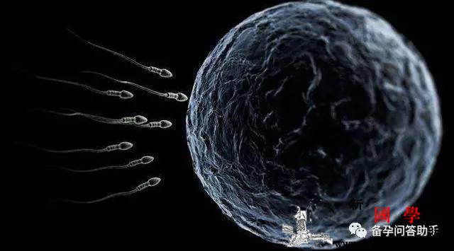 受孕也有“黑色时间”这四个时间段千万要避开_节律-受孕-临界-精子-怀孕准备