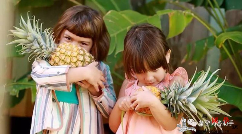 备孕生个双胞胎有那么难吗？几个秘诀告诉你！_卵泡-叶酸-胚胎-双胞胎-怀孕准备