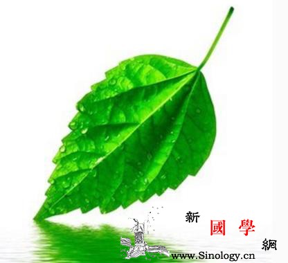 新生儿鲜红斑痣会自行消退吗_红斑-消退-表现为-毛细-