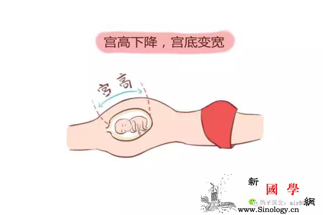 六个征兆告诉你宝宝可能要早产!_膀胱-胎儿-腹腔-告诉你-