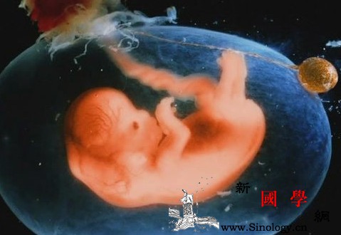 专家解读胎儿畸形4大疑问_胎儿-畸形-解读-怀孕-
