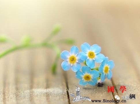 输卵管堵塞只能选择试管婴儿吗？_试管婴儿-造影-输卵管-调养-不孕不育