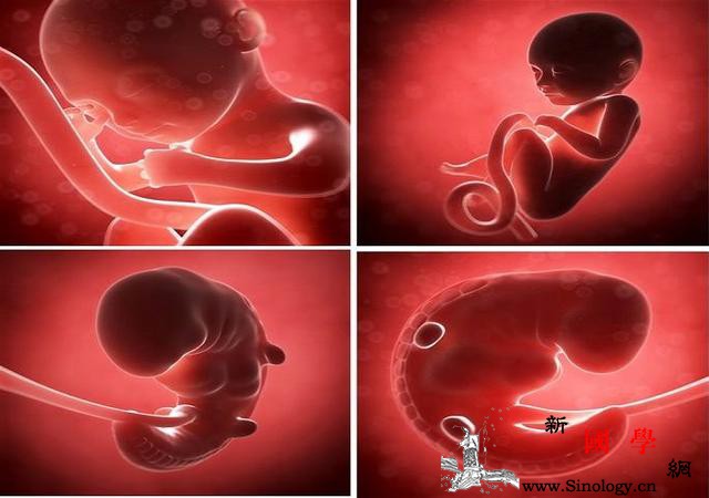 试管婴儿出生后跟普通婴儿的差别有哪些_试管婴儿-受孕-试管-缺陷-不孕不育