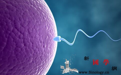 卵细胞存活时间多长？卵子在子宫里能活多久_卵细胞-卵子-排卵-受孕-怀孕准备