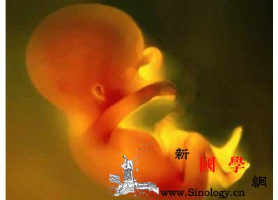 孕妇为什么会发生胎膜早破_胎膜-胎位-子宫颈-妊娠-