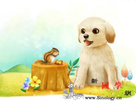 2018年狗宝宝哪天出生最好_富贵-聪敏-忠厚-持家-