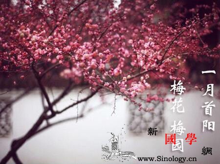 2018年狗宝宝几月出生最好_禄丰-贵人-胆量-几月-